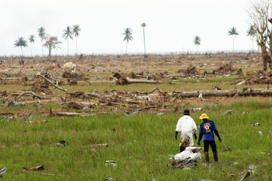 Two people standing in a field with broken trees