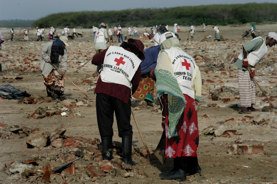 People cleaning debris from a beach