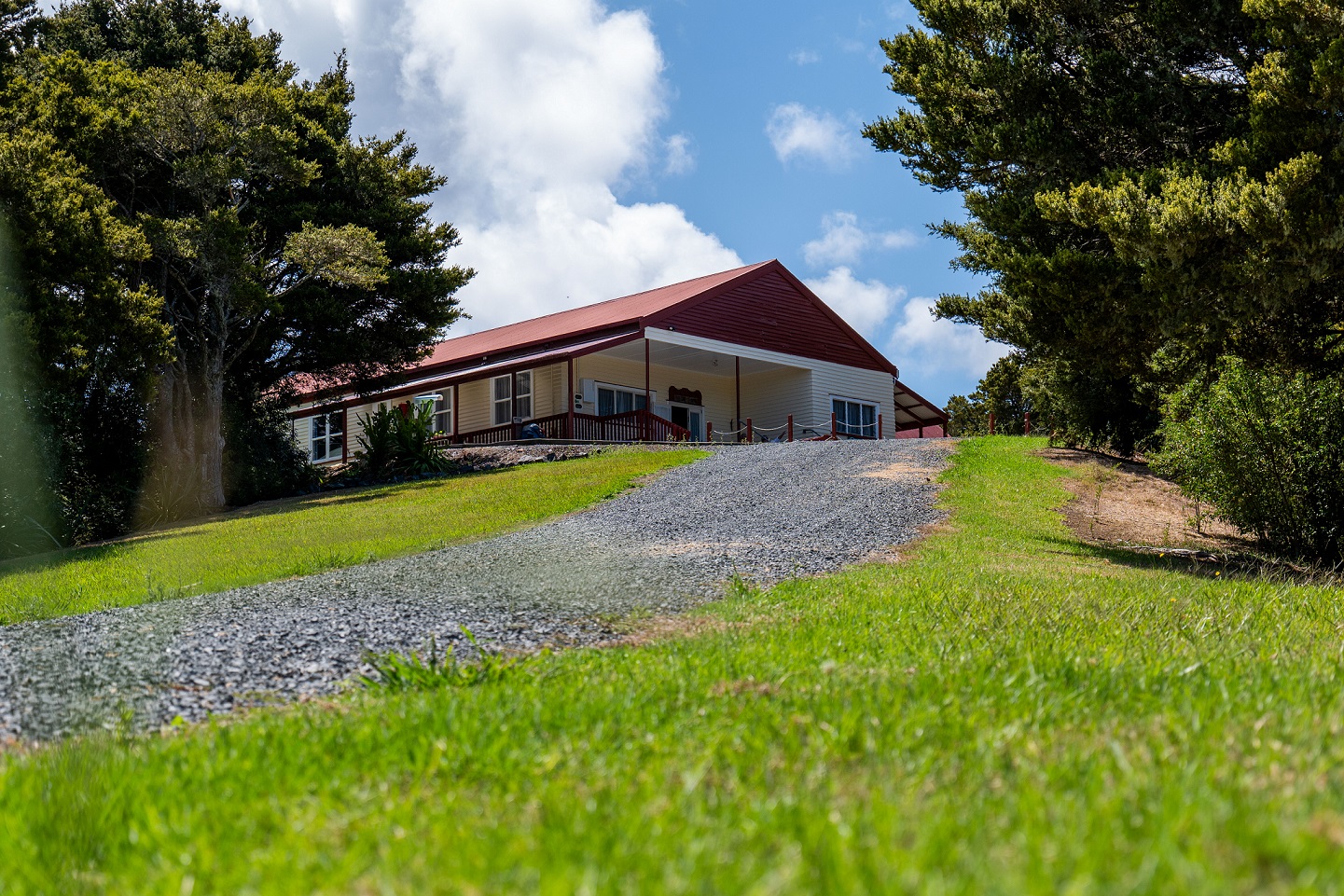 An image looking up towards Ngunguru Marae